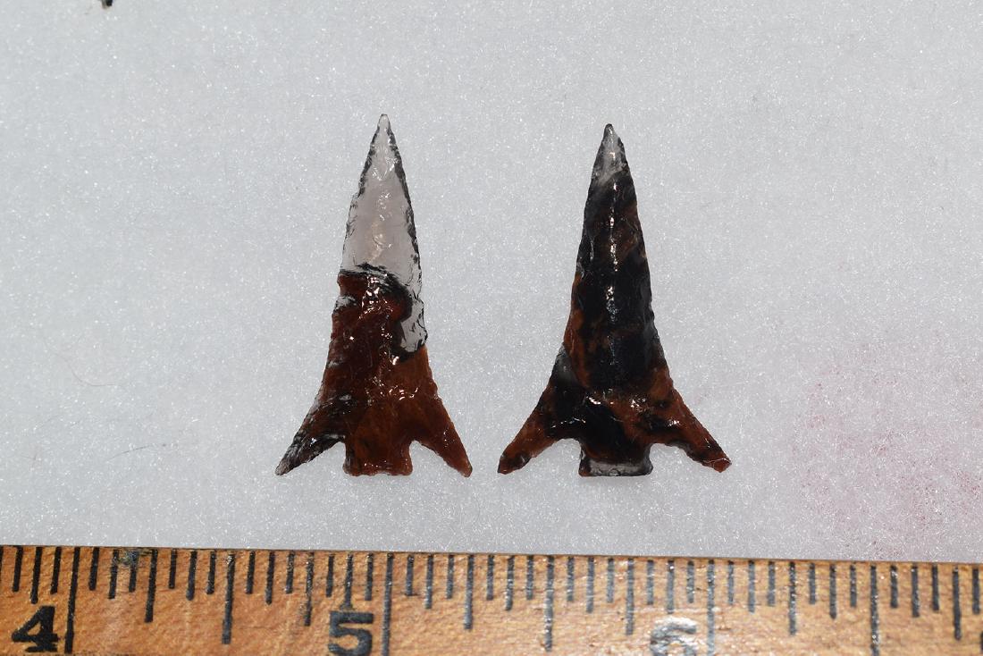 2 Great Columbia River Gem Bird Point, Ex Dr Green (1 of 1)