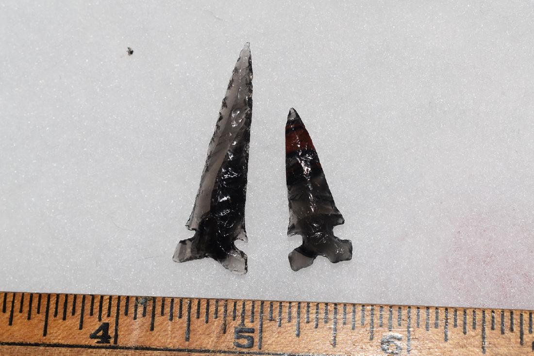 2 Great Columbia River Gem Bird Point, Ex Dr Green (1 of 1)