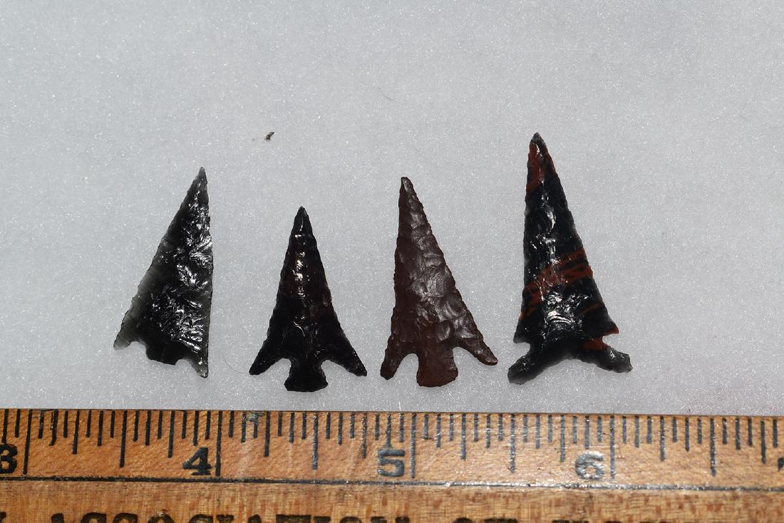 4 Great Columbia River Gem Bird Point, Ex Dr Green (1 of 1)