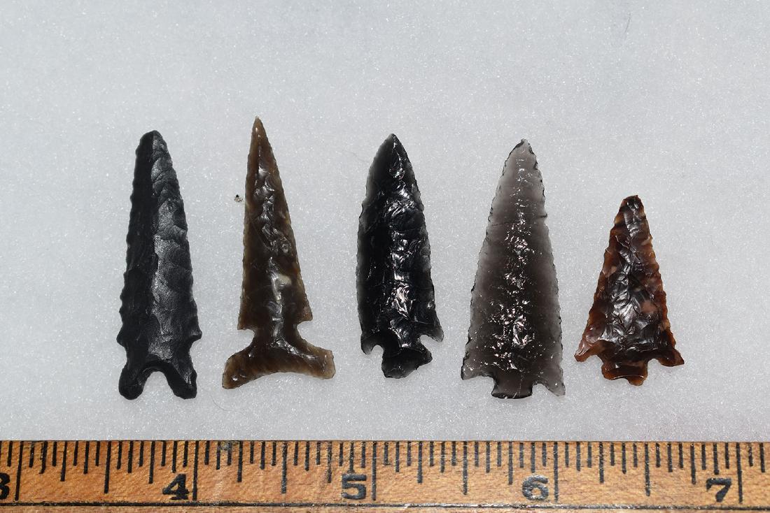 5 Great Columbia River Gem Bird Point, Ex Dr Green (1 of 1)