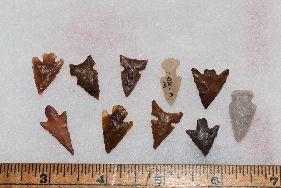 10 Western Gem Grade Bird Points, Some Columbia River, (1 of 1)