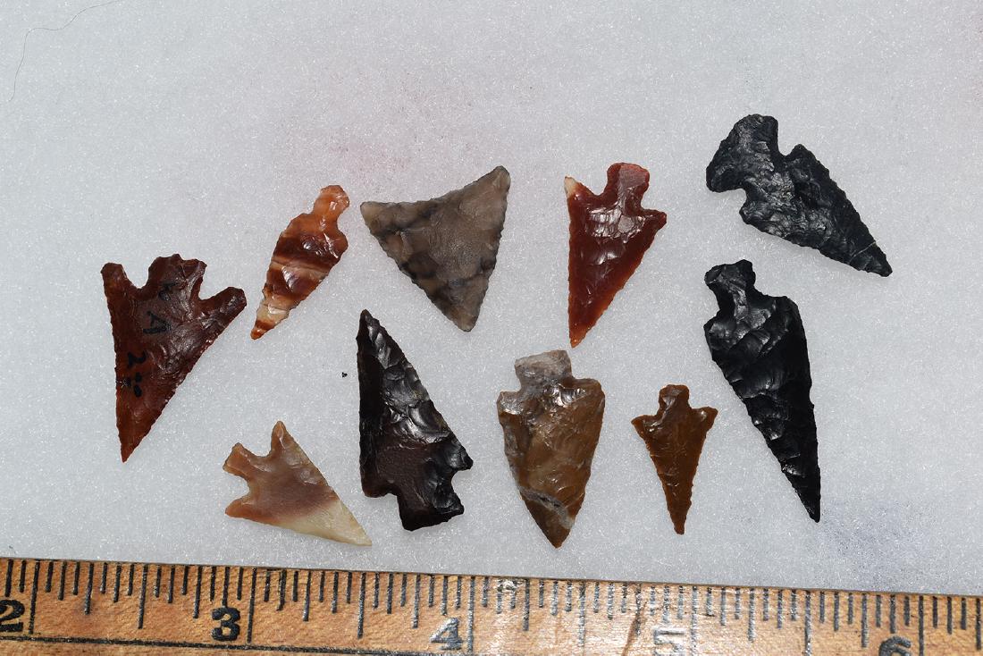 10 Western Gem Grade Bird Points, Some Columbia River, (1 of 1)