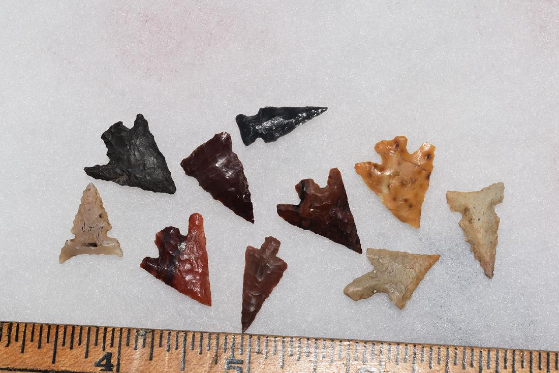 10 Western Gem Grade Bird Points, Some Columbia River, (1 of 1)