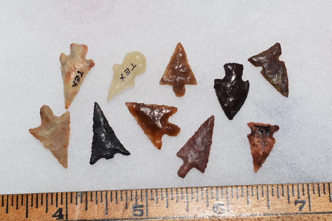 10 Western Gem Grade Bird Points, Some Columbia River, (1 of 1)