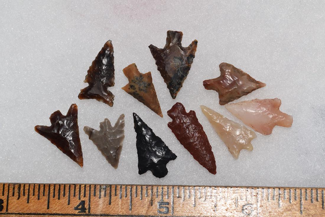 10 Western Gem Grade Bird Points, Some Columbia River, (1 of 1)