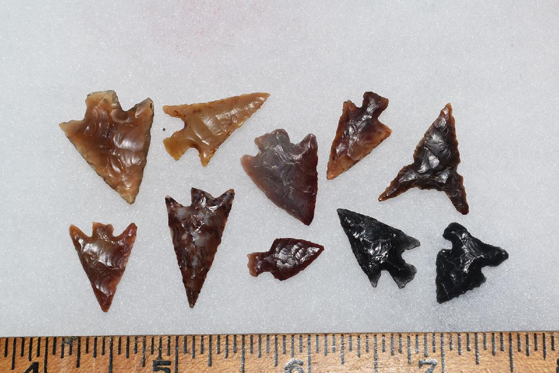 10 Western Gem Grade Bird Points, Some Columbia River, (1 of 1)