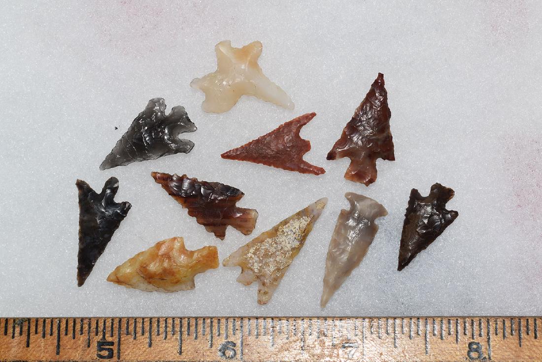 10 Western Gem Grade Bird Points, Some Columbia River, (1 of 1)