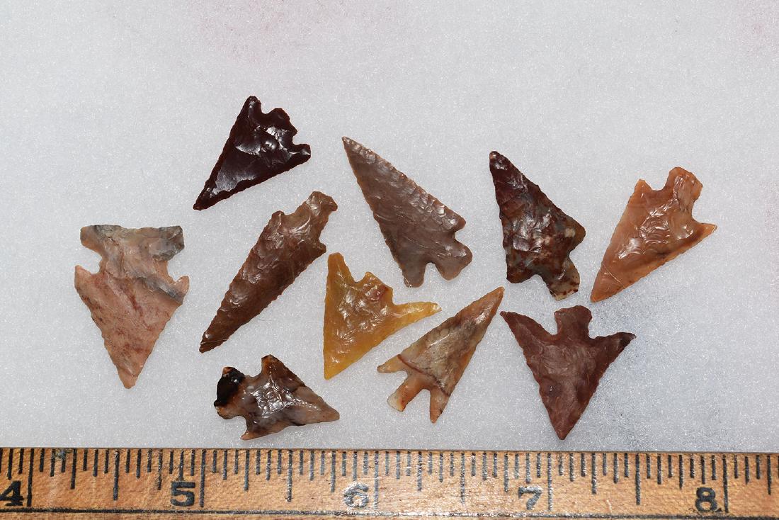 10 Western Gem Grade Bird Points, Some Columbia River, (1 of 1)