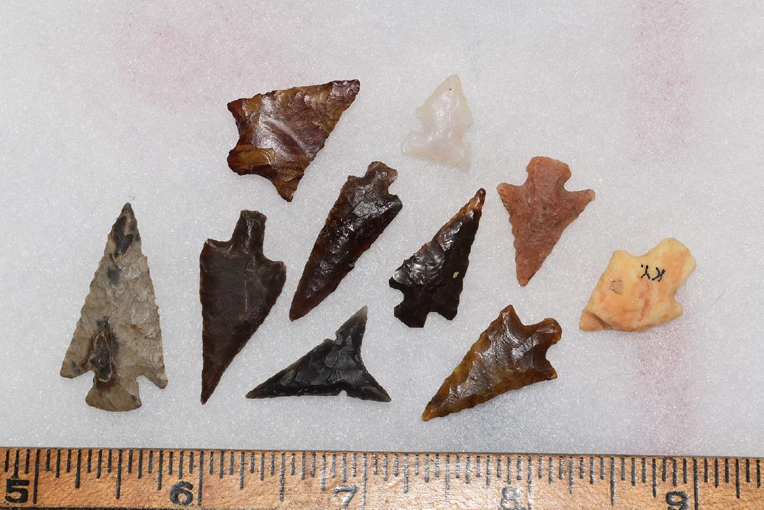 10 Western Gem Grade Bird Points, Some Columbia River, (1 of 1)