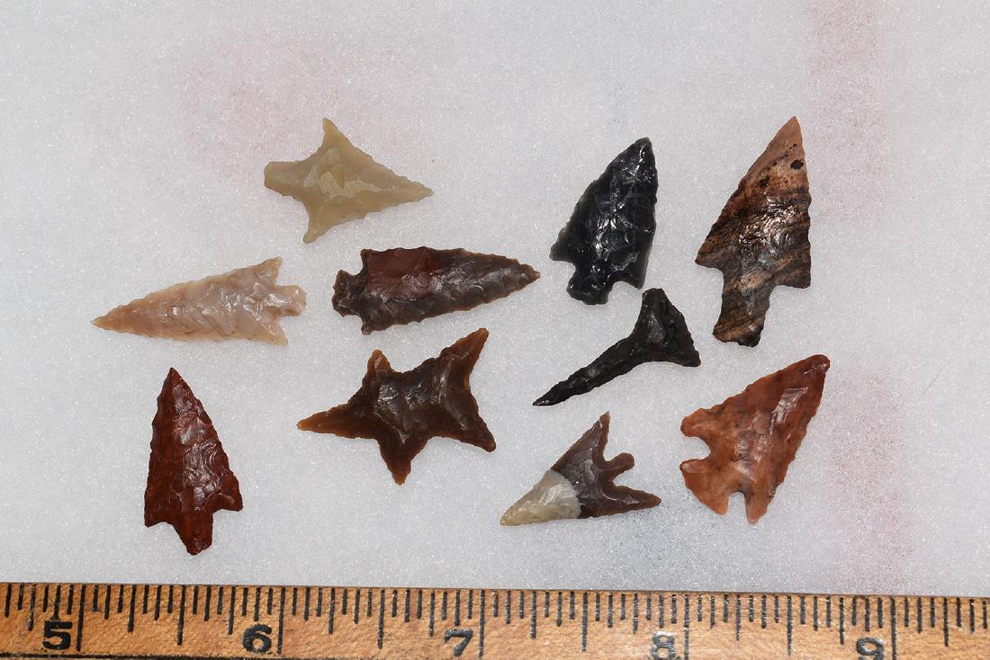 10 Western Gem Grade Bird Points, Some Columbia River, (1 of 1)