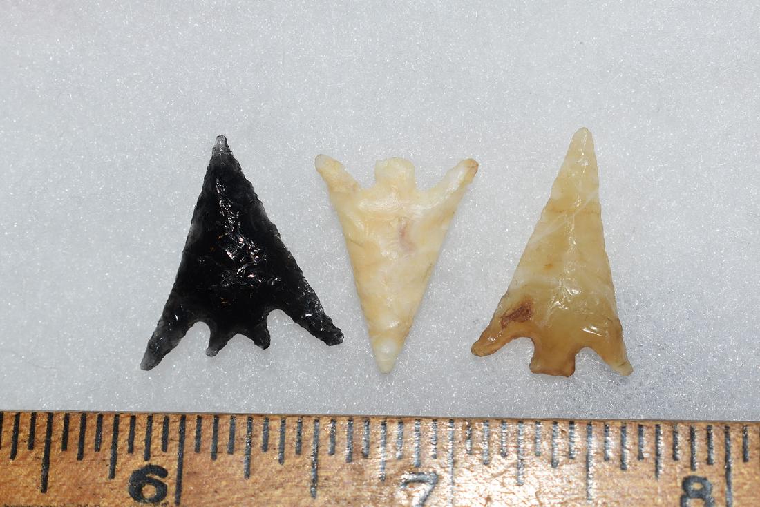 3 Western Gem Grade Bird Points, Some Columbia River, (1 of 1)