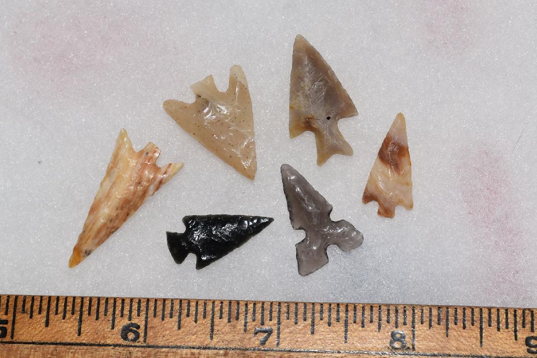 6 Western Gem Grade Bird Points, Some Columbia River, (1 of 1)