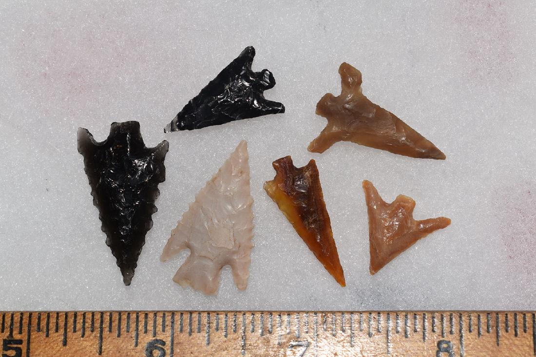 6 Western Gem Grade Bird Points, Some Columbia River, (1 of 1)