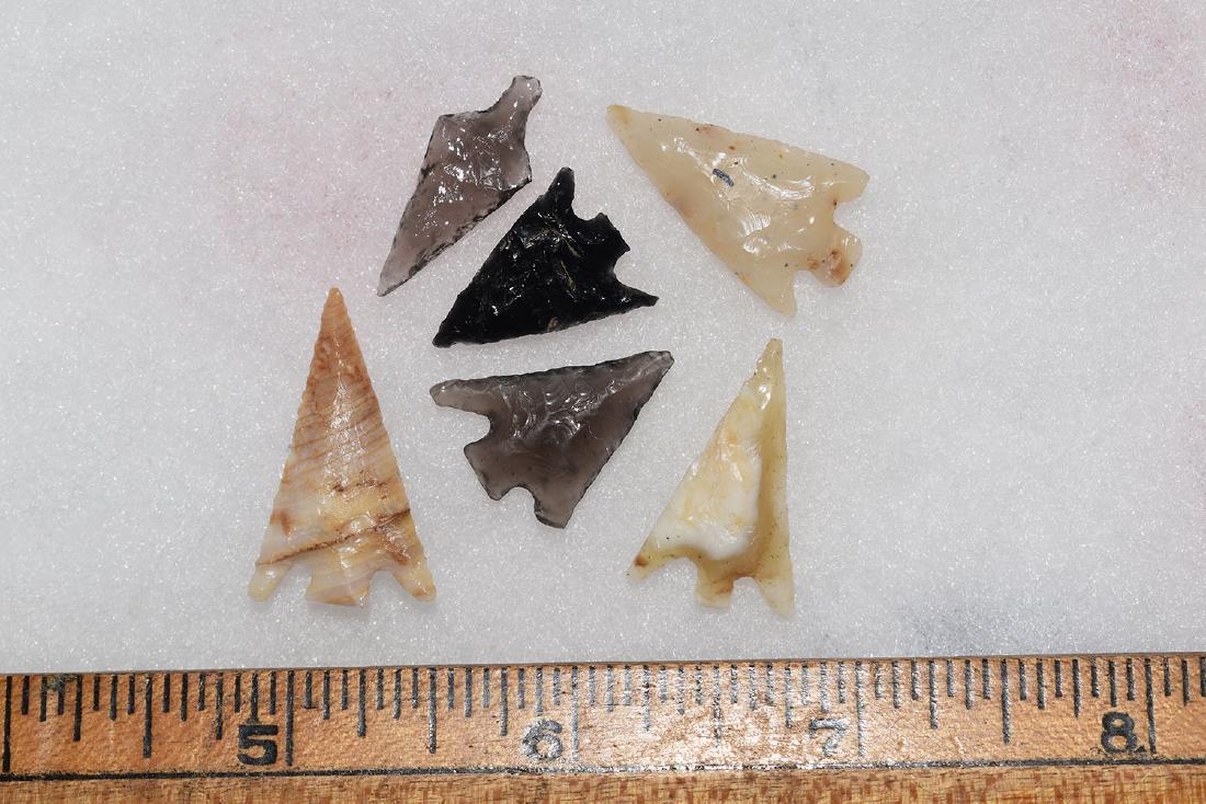 6 Western Gem Grade Bird Points, Some Columbia River, (1 of 1)