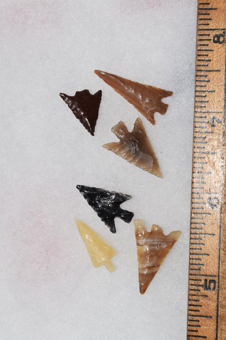 6 Western Gem Grade Bird Points, Some Columbia River, (1 of 1)