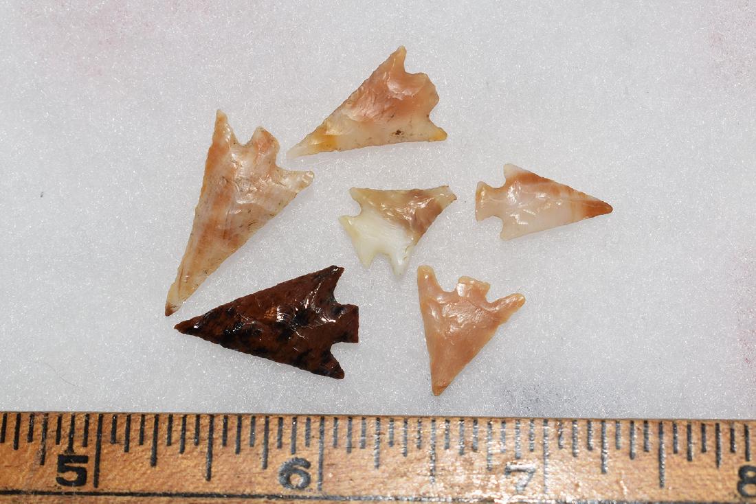 6 Western Gem Grade Bird Points, Some Columbia River, (1 of 1)