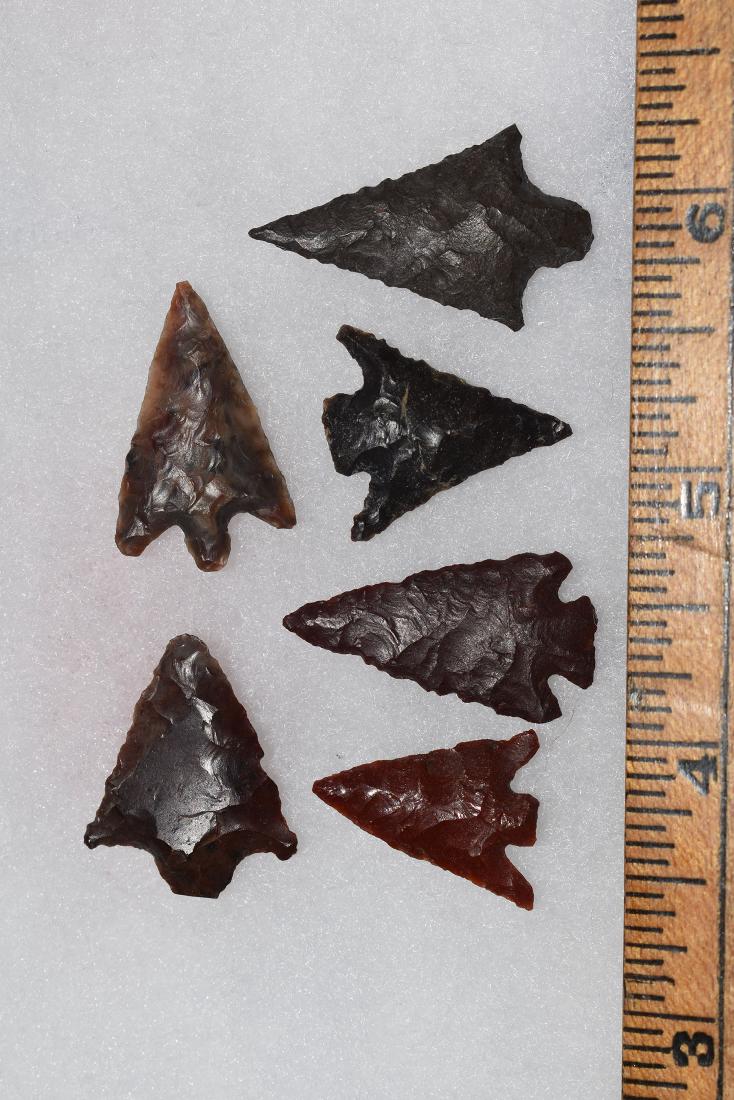 6 Western Gem Grade Bird Points, Some Columbia River, (1 of 1)