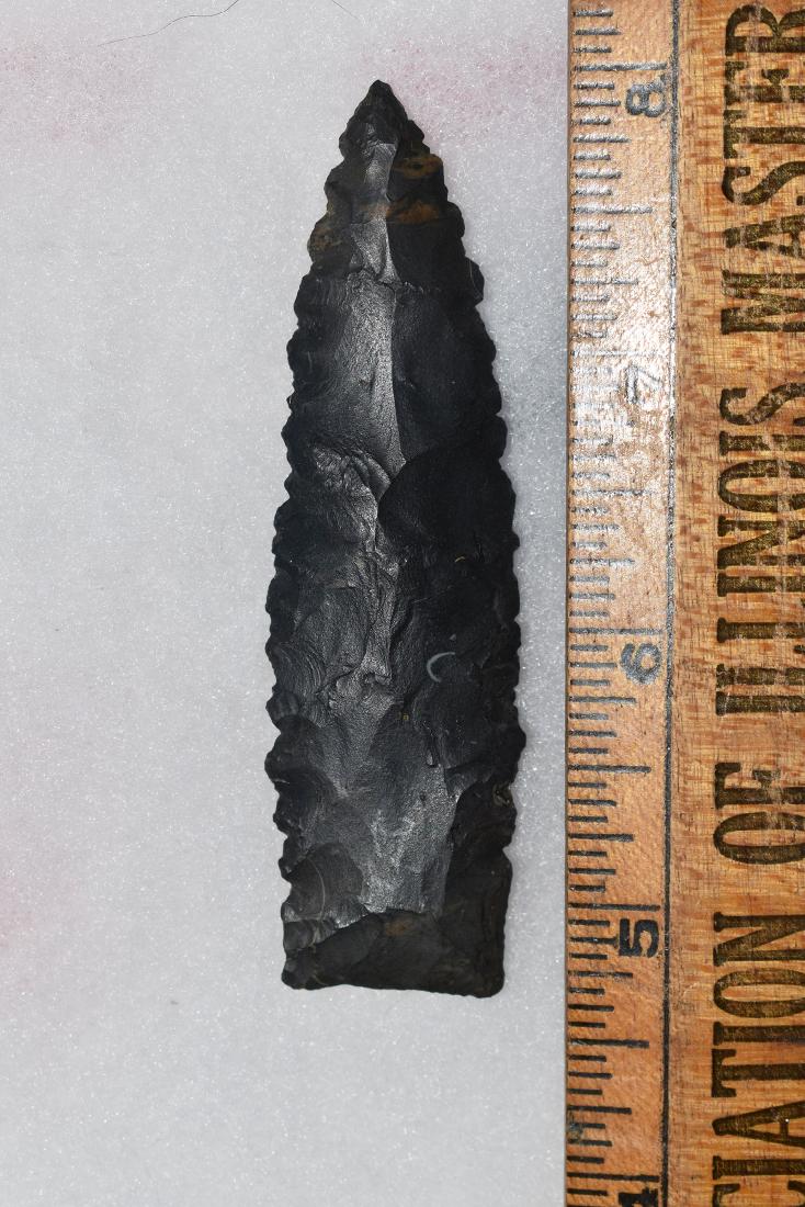 Western Paleo Point, Ex Dr Green (1 of 1)