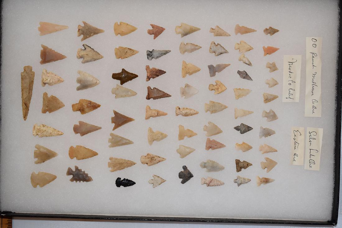 Original Frame of Bird Points, Ex Dr Green Collection, (1 of 1)