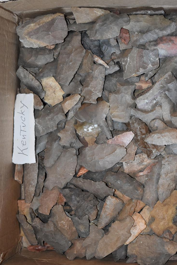 Large flat of unsorted Kentucky Arrowheads (1 of 1)