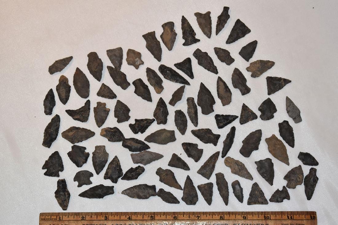 75 Arrowheads, Like East Coast (1 of 1)