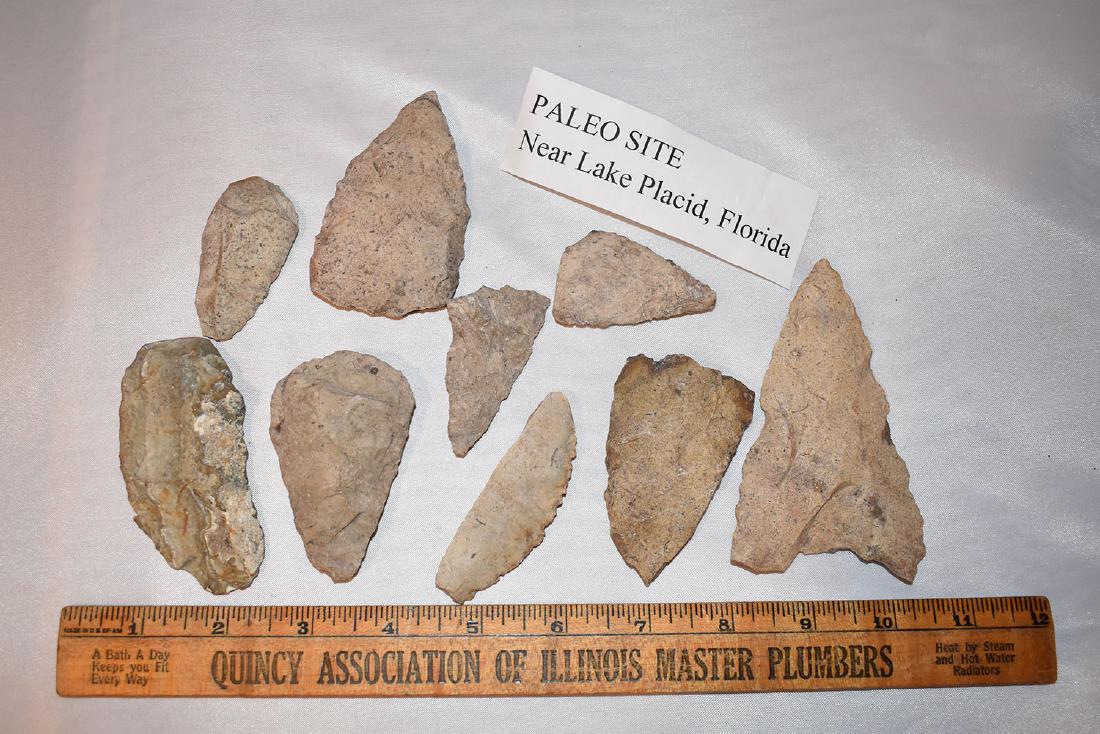 Lake Placid Florida Paleo Arrowheads: Lake Placid Florida Paleo Arrowheads