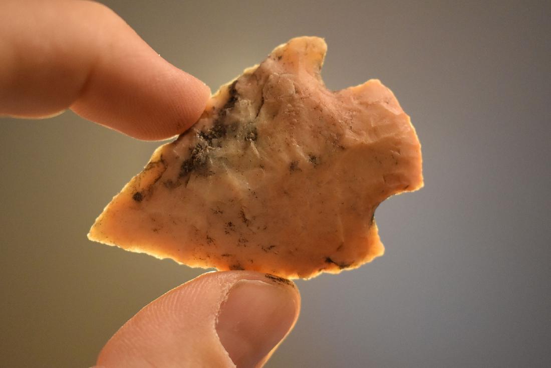 2.19" Agate Coral Cullbreath, Jackson Co FL (1 of 3)