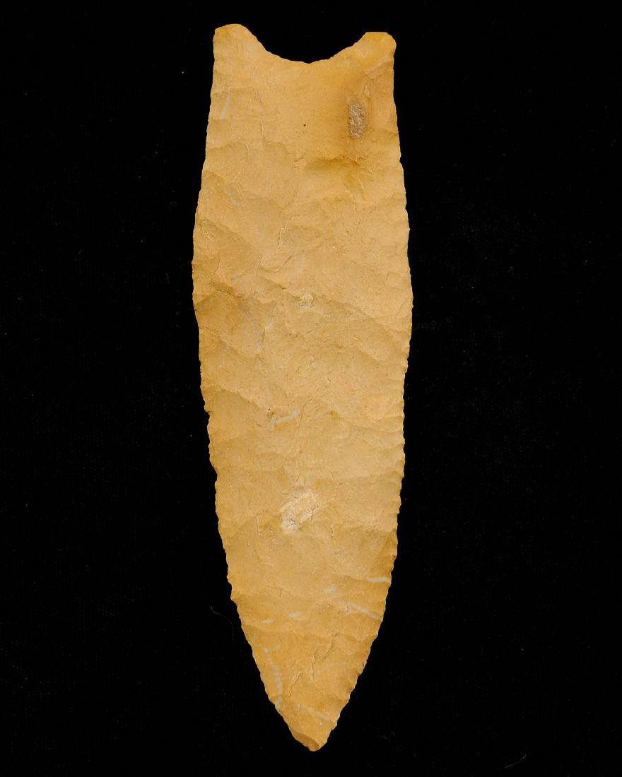 5.36 inches Dalton Found by Billy Wiley in November: 5.36 inches Dalton Found by Billy Wiley in November 2006 near Bardwell in Carlisle Co KY, Dickey, Rogers, Jackson COA, Very Fine and Large Dalton.