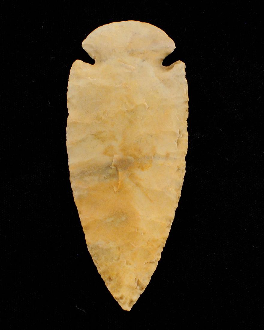 3.5 inches Dovetail, Dickey COA, Found by Brian: 3.5 inches Dovetail, Creek Stained, Found by Brian Hodge in Jersey Co Illinois, Dickey COA