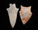 Lot of 2 Colorful Novaculite Points, Arkansas, Longest