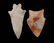 Lot of 2 Colorful Novaculite Points, Arkansas, Longest - 2