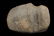 4 inches 3/4 Groove Axe, Whiteside Co IL