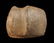 3.1 inches 3/4 Groove Axe, Calhoun Co Illinois - 2