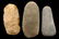 Lot of 3 Relics, Missouri, Longest 4.8 inches