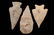 3 Texas Arrowheads, Longest 2.8 inches