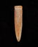 2 inches Fossil Grooved Pendant, Gettysburg SD