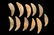 Lot of Bear Tooth Pendants / Necklace, Gettysburg SD,