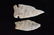 2 Nice Archaic Points, 2.65" Longest