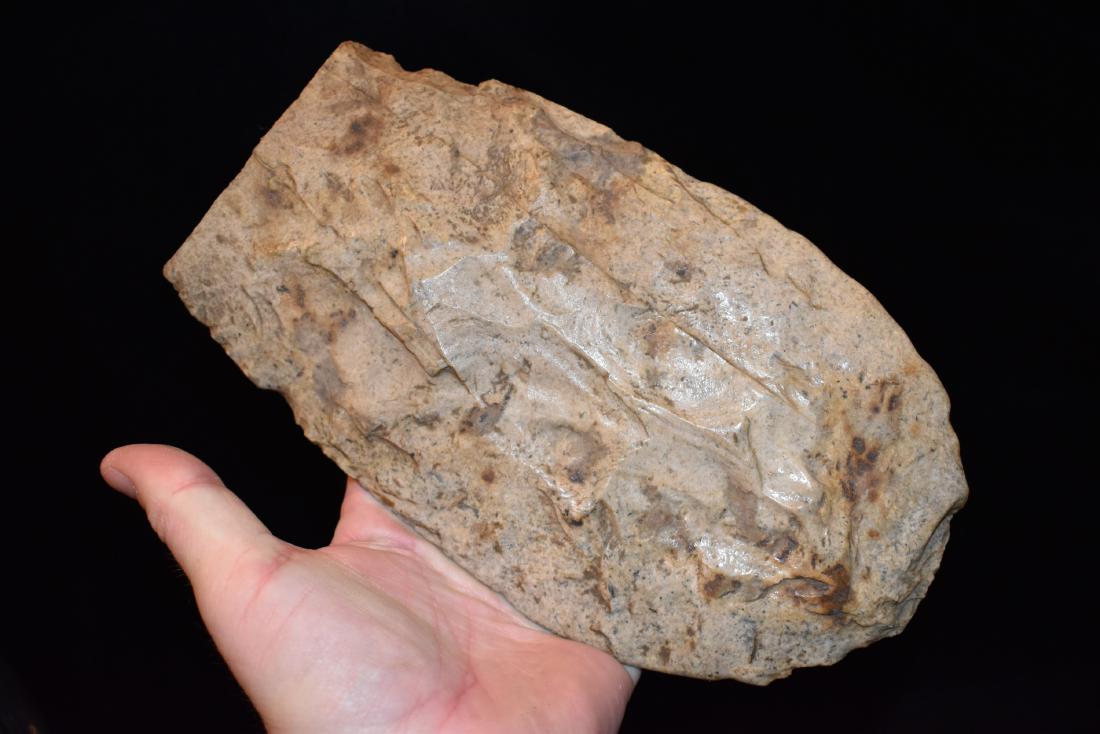 8.1/2" Mill Creek Spade, Great Polish, Lyman Hussey (1 of 3)