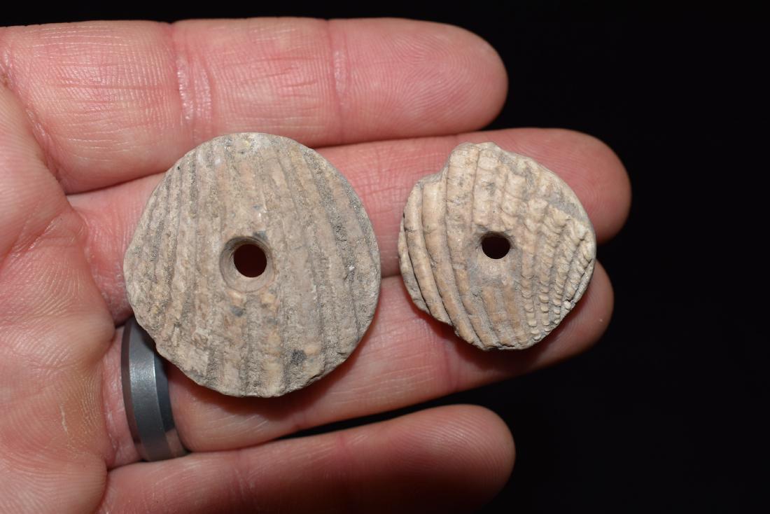 Pair of Nice Shell Beads Hohokam / Anasazi Necklace, (1 of 2)