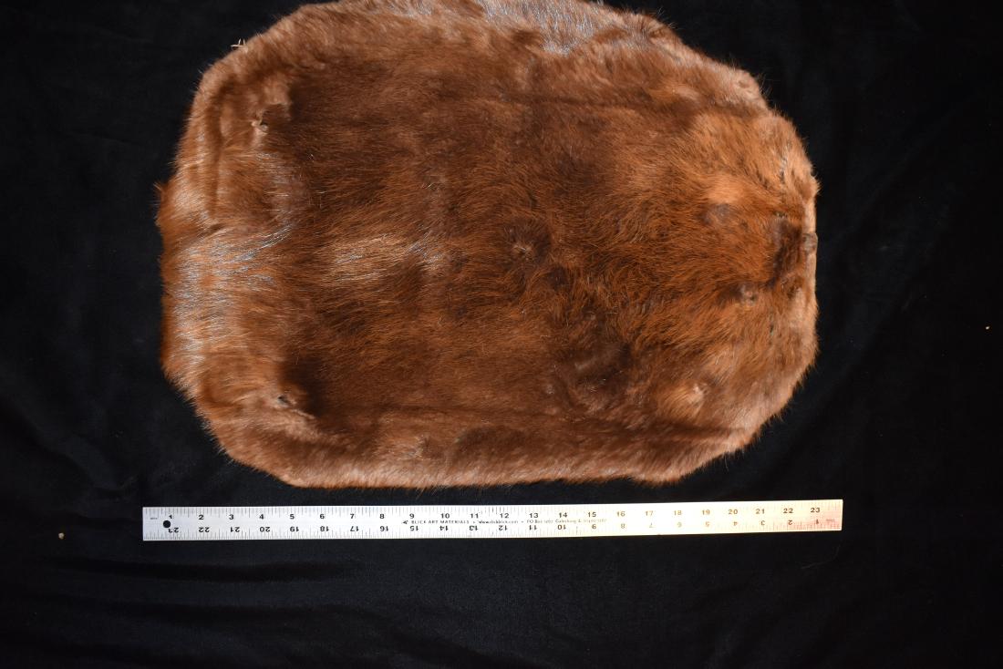 Tanned American Beaver Hide, Iowa (1 of 2)