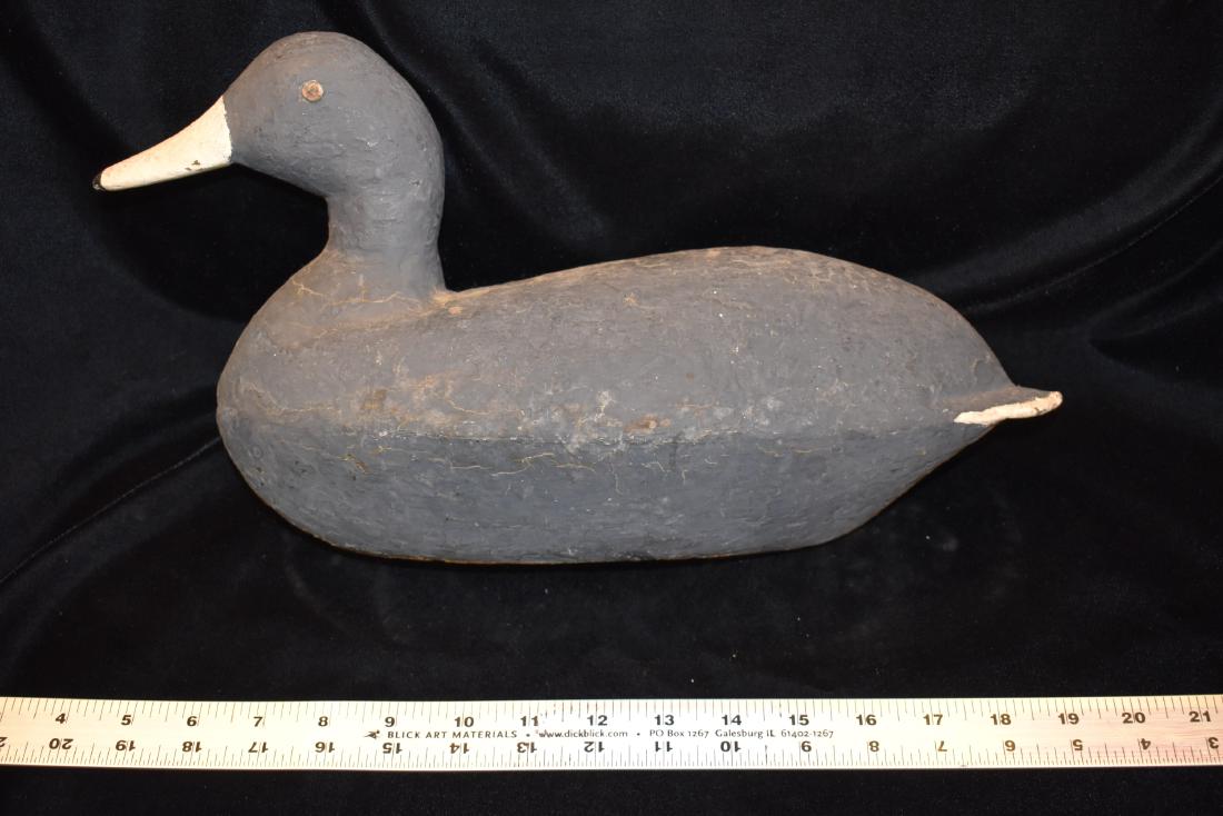Antique Coot Duck Decoy, Carved and Used by Stewart