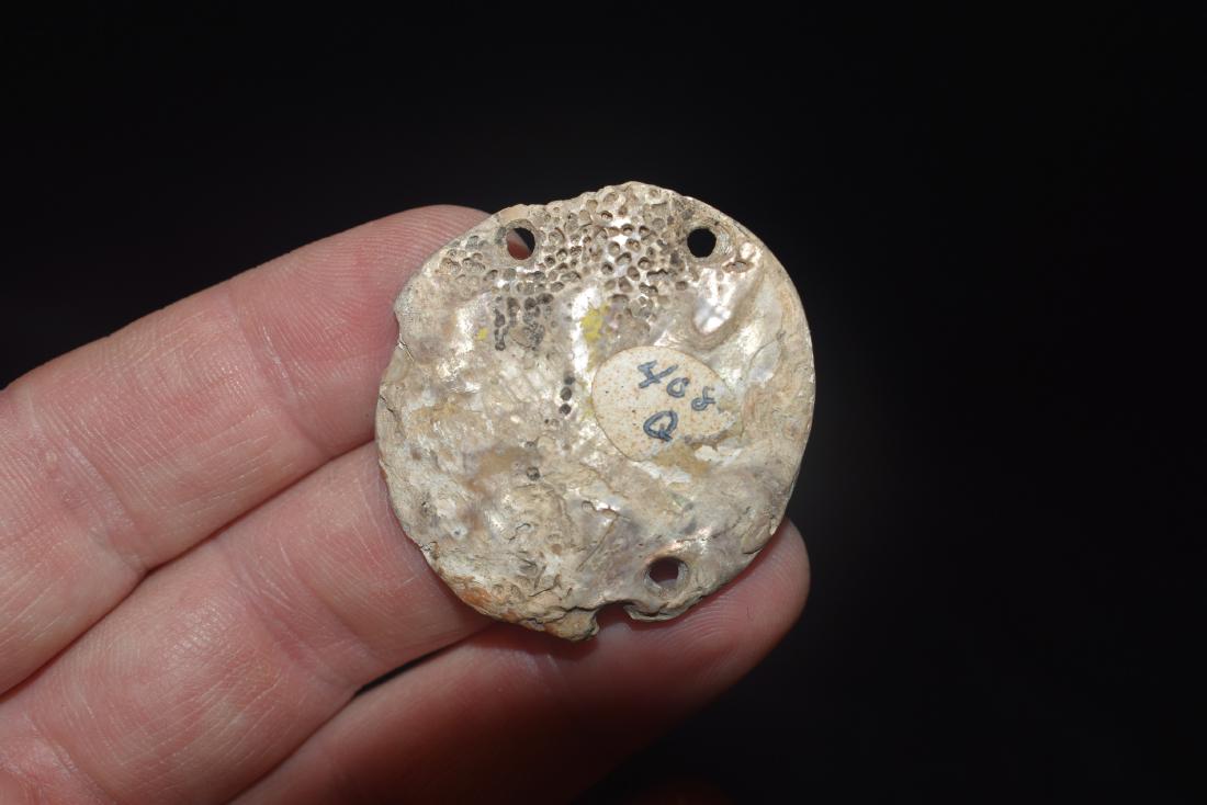 1 7/16" Shell Gorget, Humboldt Co California, Ex Dale (1 of 3)