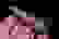 item-63130192=2