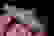 item-63130231=2