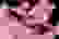 item-63130254=3