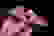 item-63130278=2