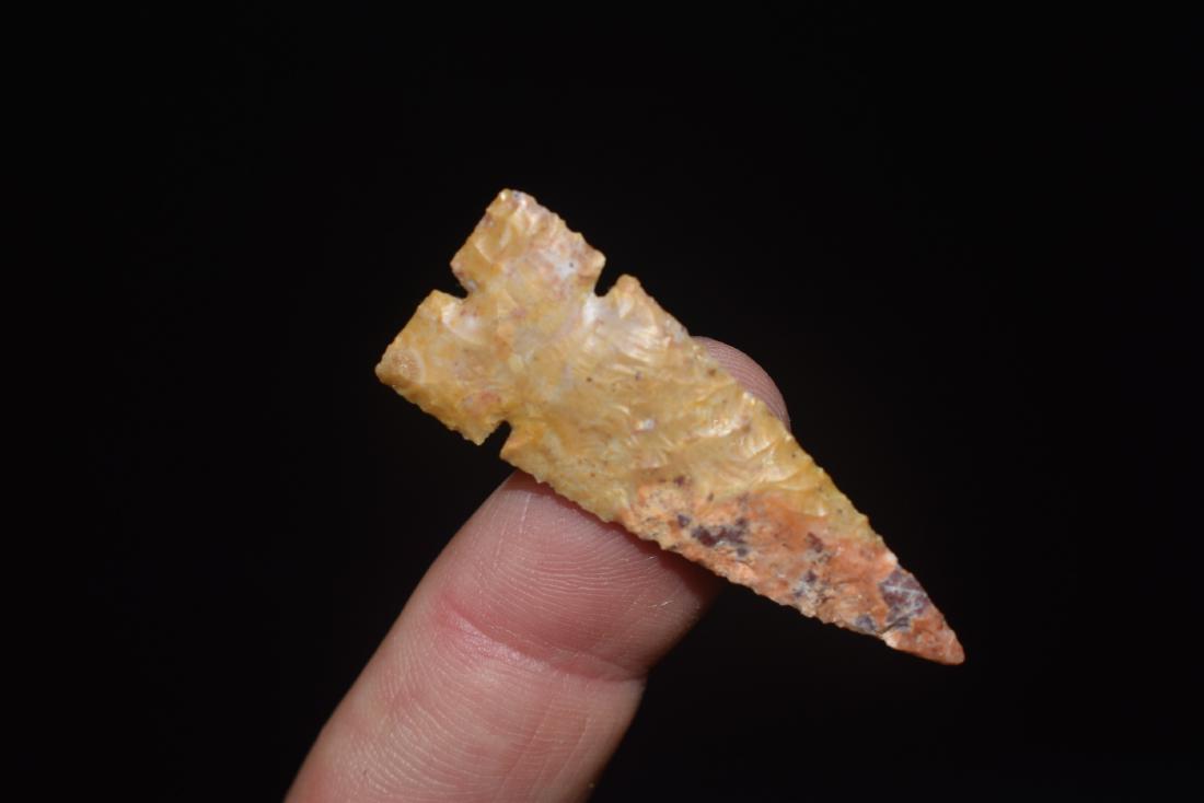 1 5/8" Tri Notch Point (1 of 2)