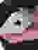 item-63767377=3