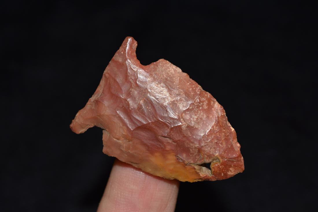 1 3/4" Side Notch, Alec Riebel, Scotland Co, MO (1 of 5)